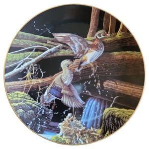 Vtg 90's Skyward M.Budden Free Ass The Wind N. American Wildlife Duck Plate